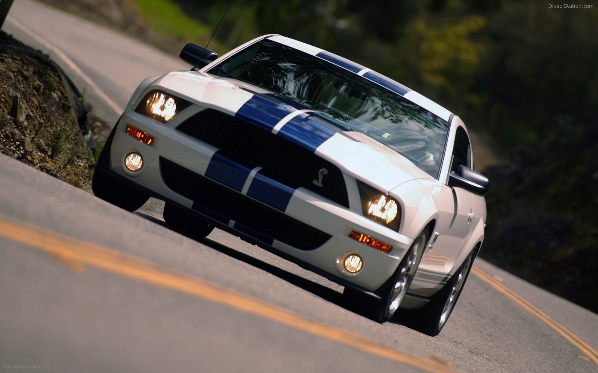 Ford Shelby Cobra GT500